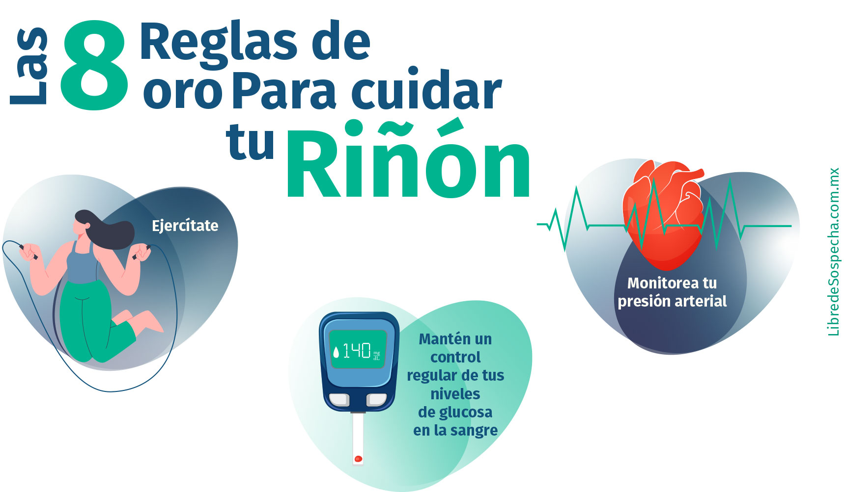 Las 8 Reglas de oro Para cuidar tu Riñon